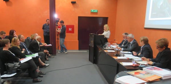 Marijana Petir i publika (Fotografija Miljenko Brezak / Živi selo)