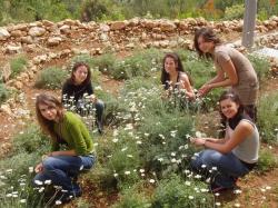 Učenice OŠ Valentina Klarin Preko u svom vrtu