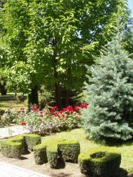 Nagrađen Zlatnom poveljom HRT-a, vrt OŠ Ljudevita Gaja, Nova gradiška