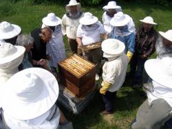 Hrvatski pčelari i med napokon ravnopravni na tržištu