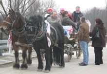 Zaprega konja posavaca kao dojmljiv izletnički prijevoz