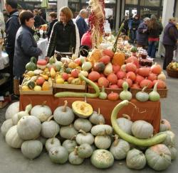 Jedan od uobičajenih prizora s Bučijade u Ivanić Gradu (dokumentacija Grada Ivanić Grada)