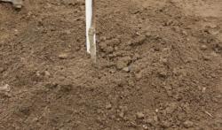 Oblikujte zdjelicu oko voćke (Snimio Dražen Kopač / Acumen)