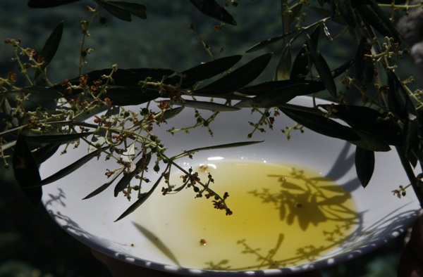 Blago (Snimio Mario Hlača)